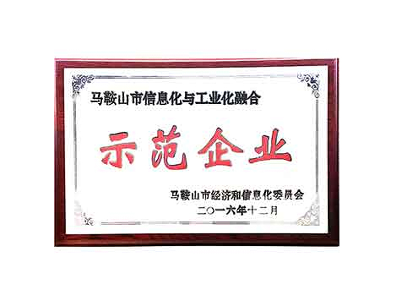 馬鞍山市示范企業(yè)