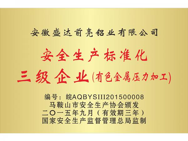 安全生產(chǎn)標(biāo)準(zhǔn)化