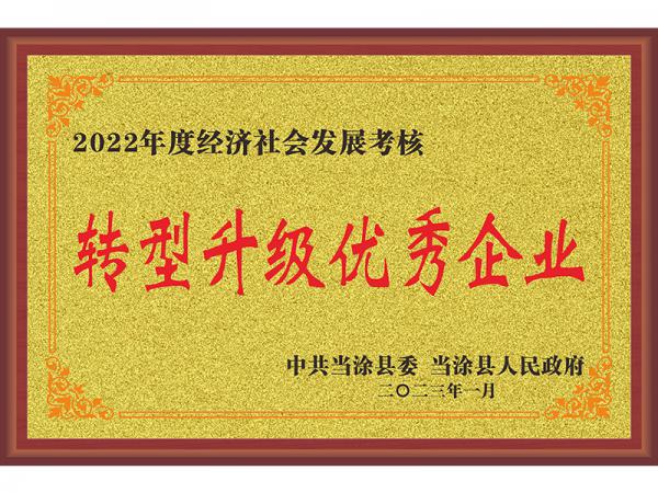 轉型升級優(yōu)秀企業(yè)